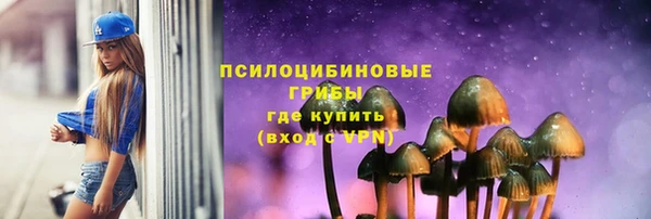 гидра Семёнов