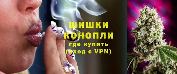 дурь Алзамай