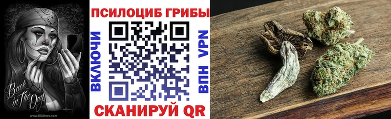 Псилоцибиновые грибы Psilocybe  MEGA ТОР  Бокситогорск 